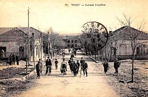 299- Tiaret - Avenue Escoffier